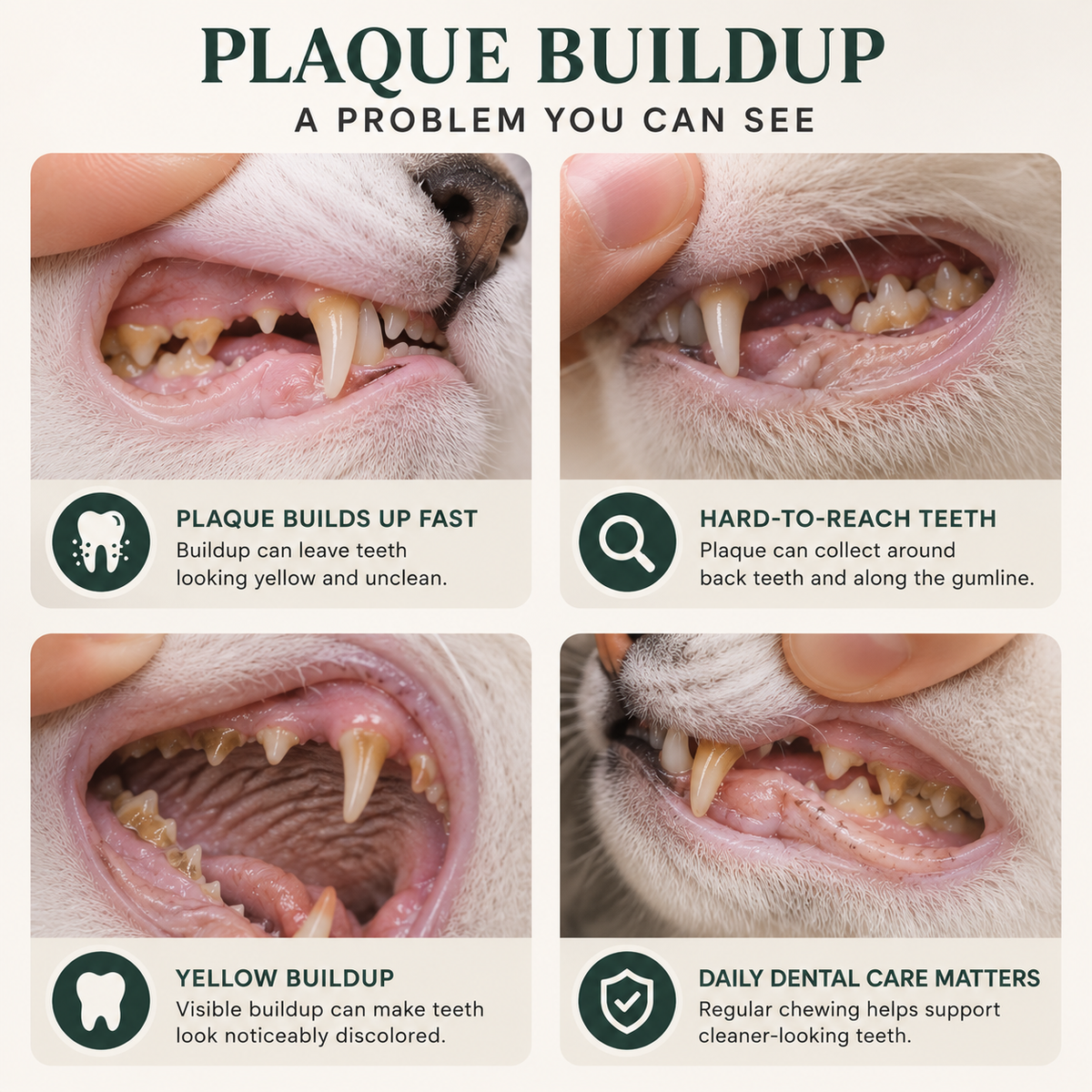 Squeaky pet toy that cleans teeth