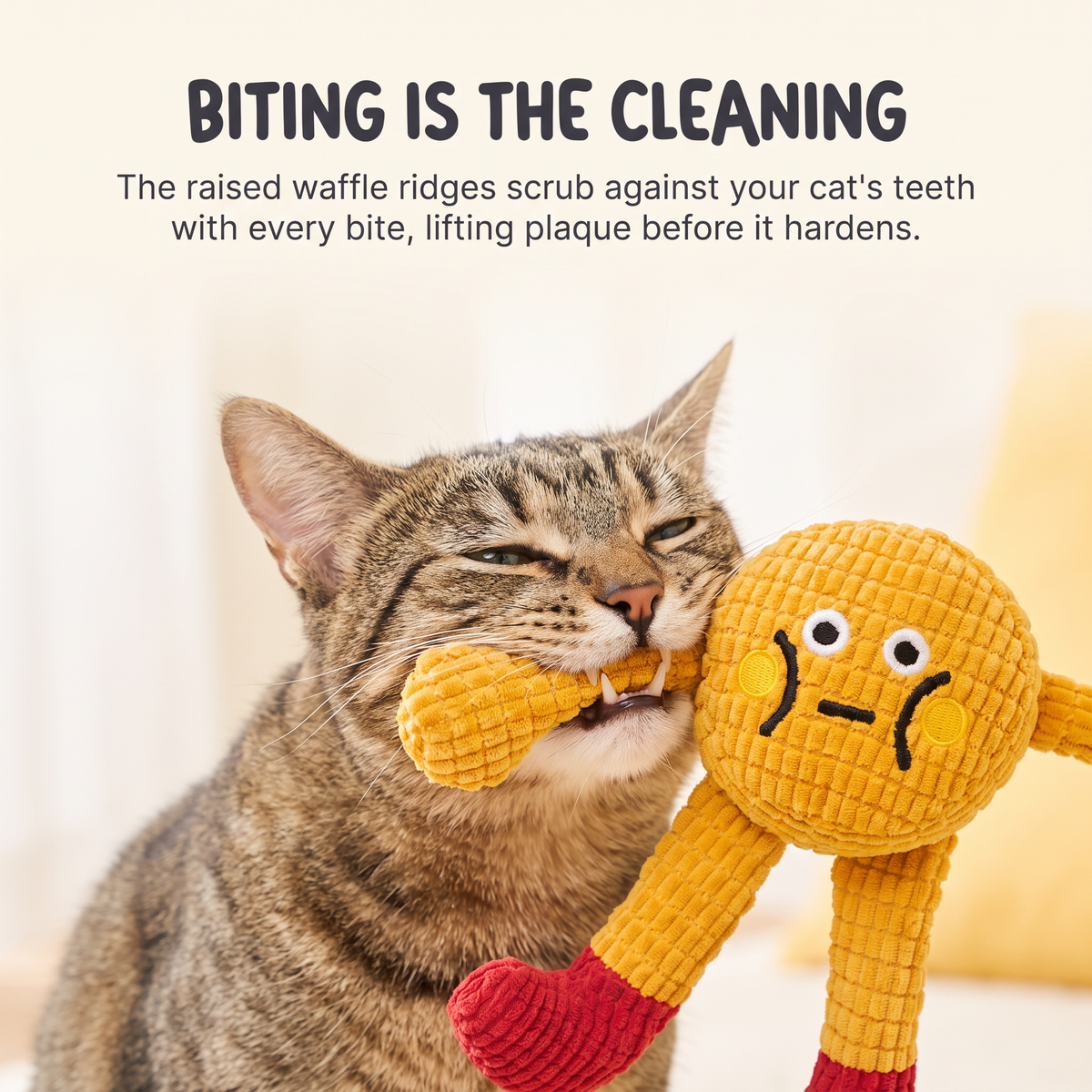Squeaky pet toy that cleans teeth